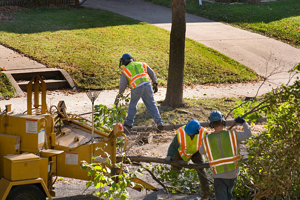  Applewood, CO Tree Services Pros